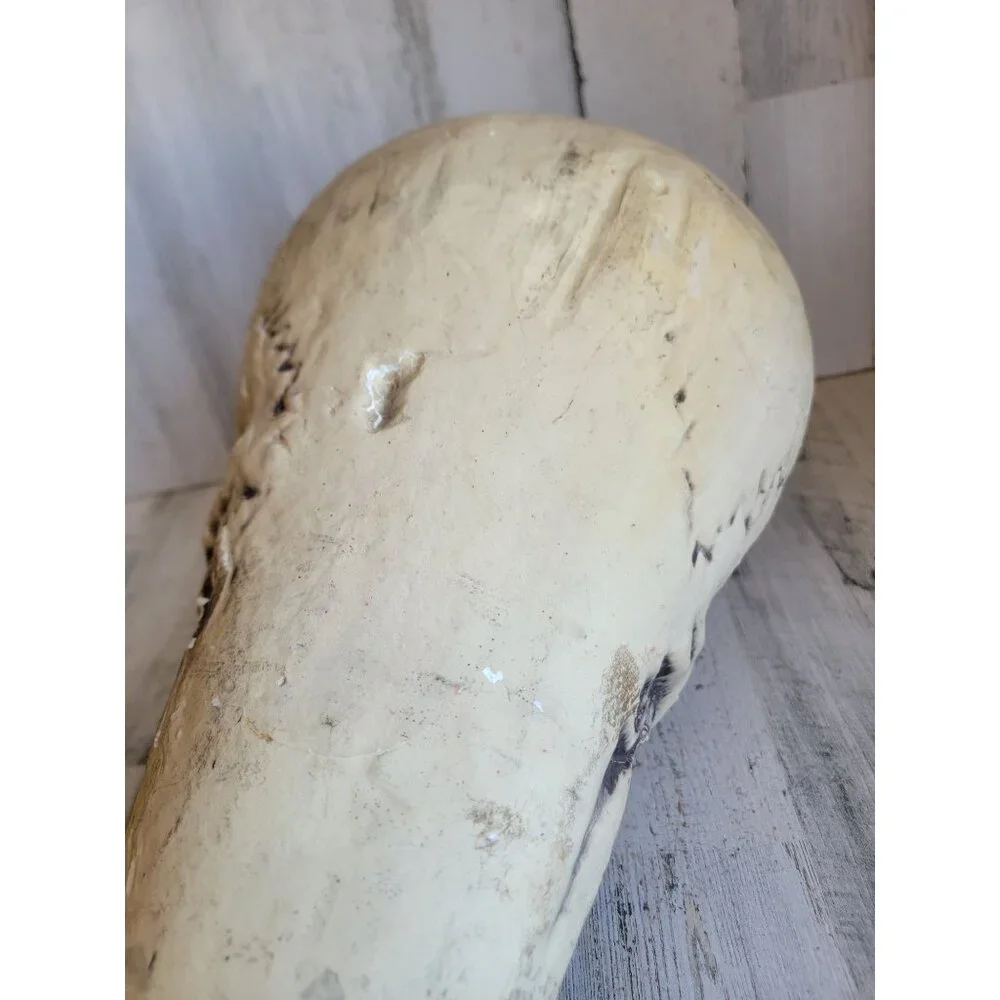 Skull large foam AS IS head Halloween prop home decor bowl unique‎